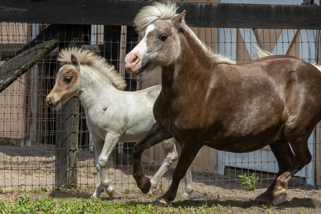 La_Boehem-011239.jpg