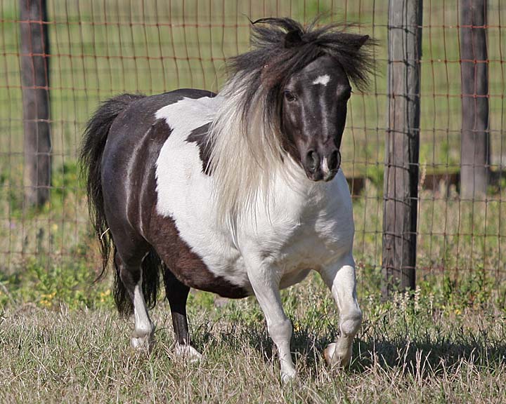 Lucy21.jpg