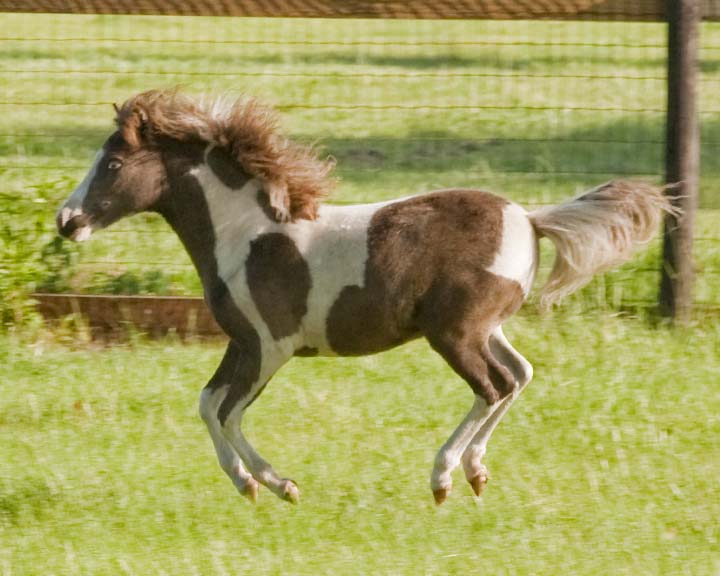 Itsy30.jpg