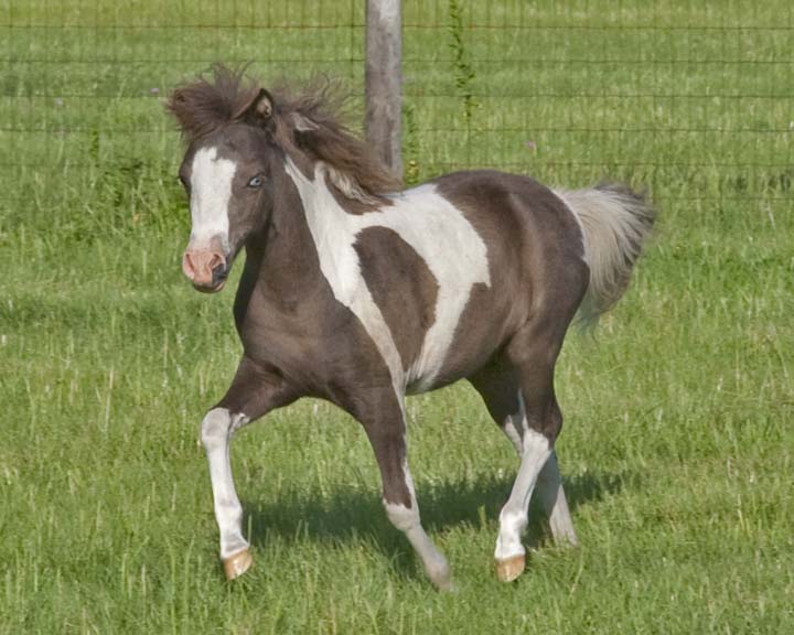 Itsy33.jpg