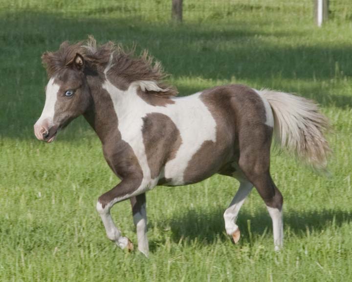 Itsy32.jpg